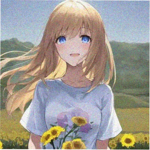 观众 逐帧放映 头像